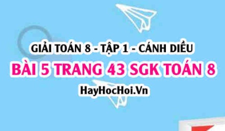 Giải bài 5 trang 43 Toán 8 Tập 1 SGK Cánh Diều